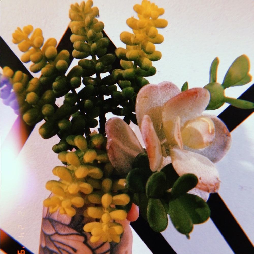 Faux plant clippings